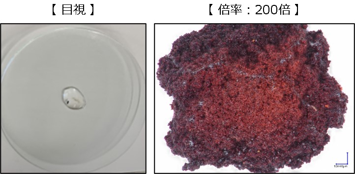 異物検査とは？～外観観察試験（鉄サビ編）～