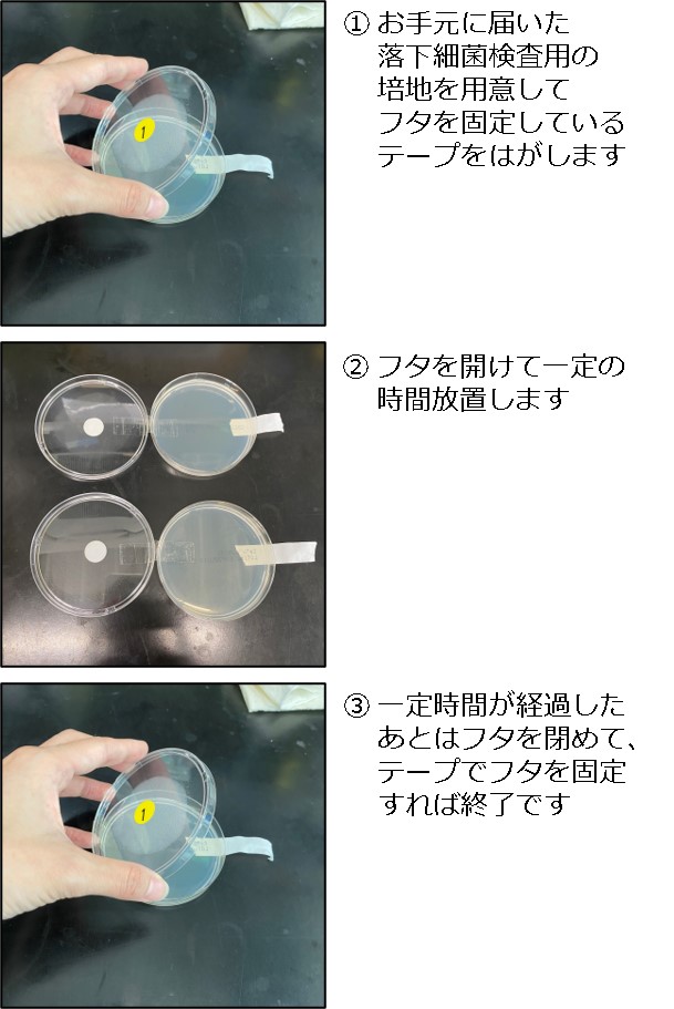 落下細菌検査〜サンプリング編〜