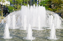 Non-Potable (Miscellaneous-Use) Water Testing