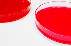 Hygiene Status Verification