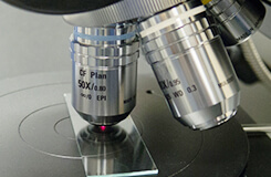 Foreign Matter Testing