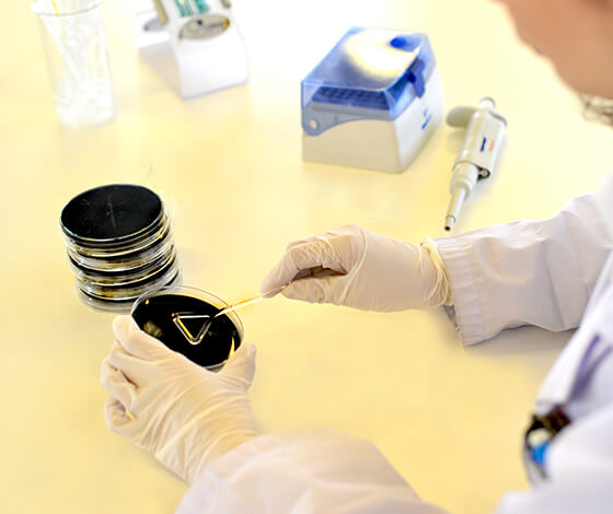 水質検査だけじゃない、安心のための「細菌検査」