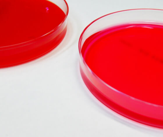 Hygiene Assessment and Rapid Hygiene Testing